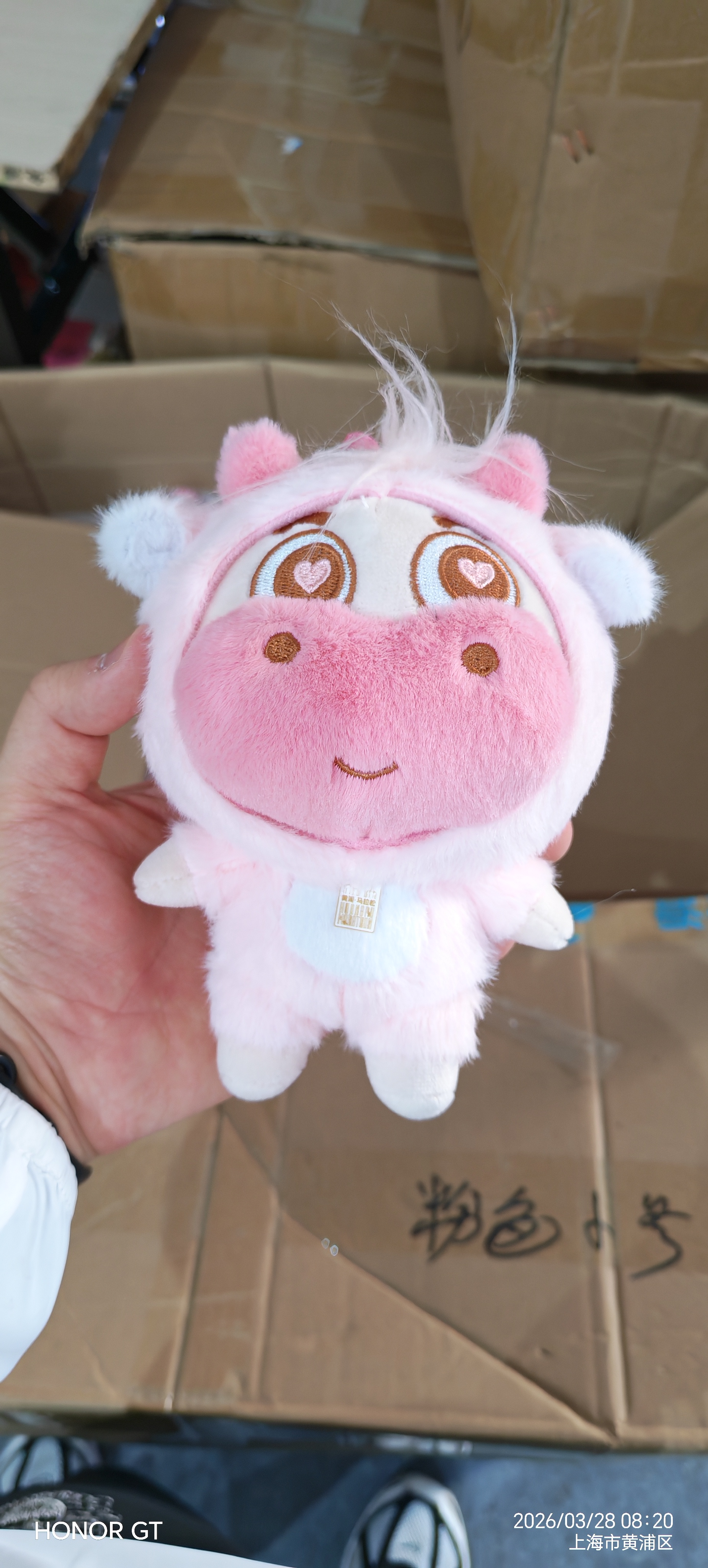 2026 黄浦半程马拉松志愿者实录