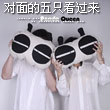 快乐星球管理员