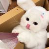小鸟喳喳