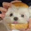 星辰秘法师