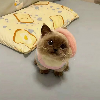 翠微隐士